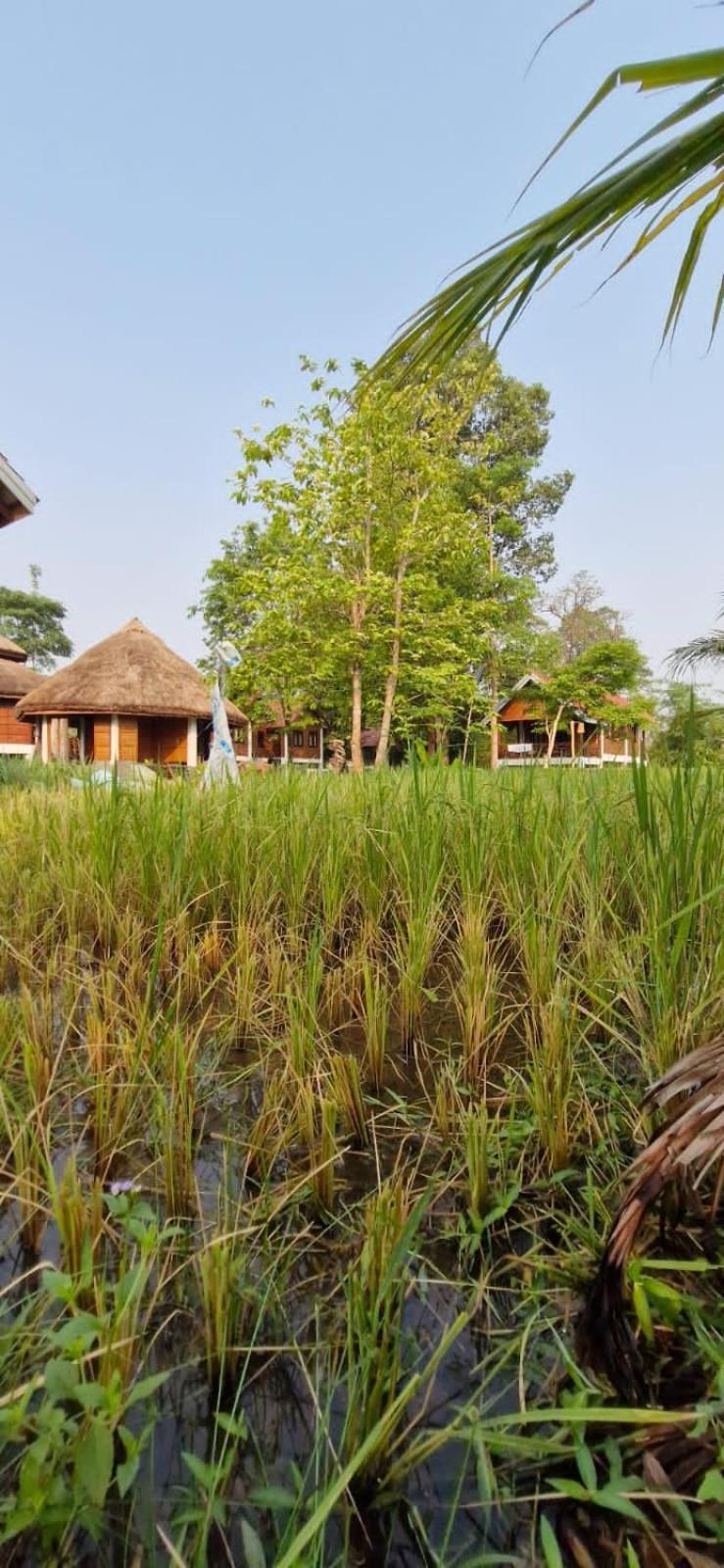 Bolaven Garden Bungalow And Tent - Tad Lo Ban Kiangtat Екстер'єр фото