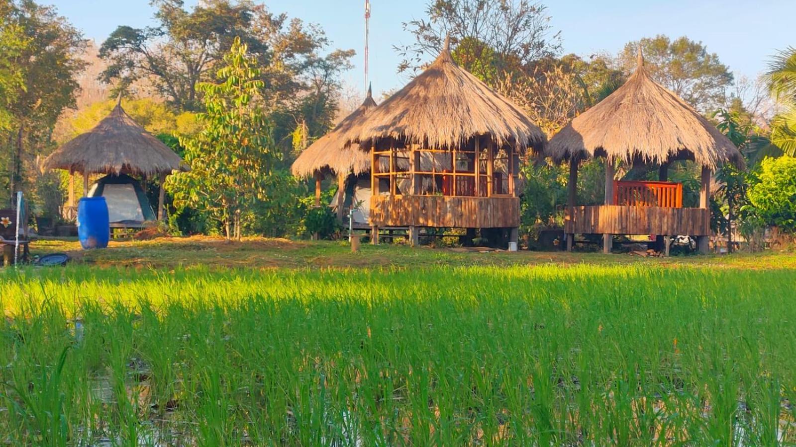 Bolaven Garden Bungalow And Tent - Tad Lo Ban Kiangtat Екстер'єр фото